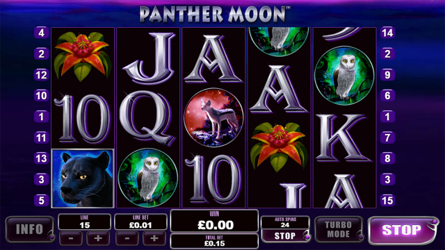 Panther Moon 8
